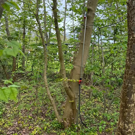 Hangout Hygge * Den Burg