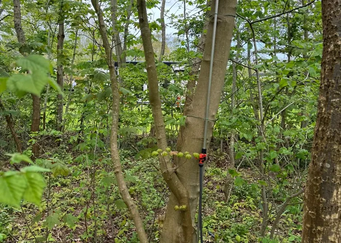 Hangout Hygge * Den Burg