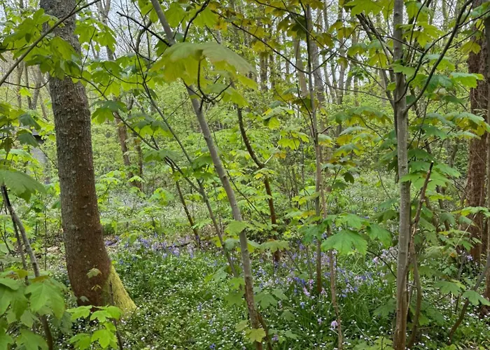 Hangout Hygge Tatil Evi Den Burg